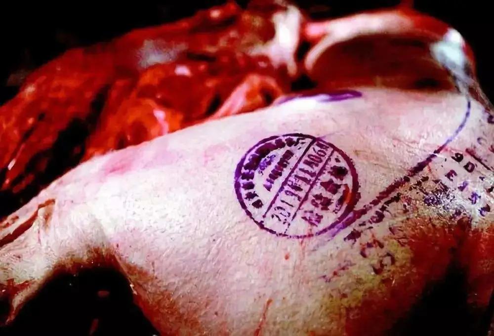 進(jìn)口外貿(mào)代理