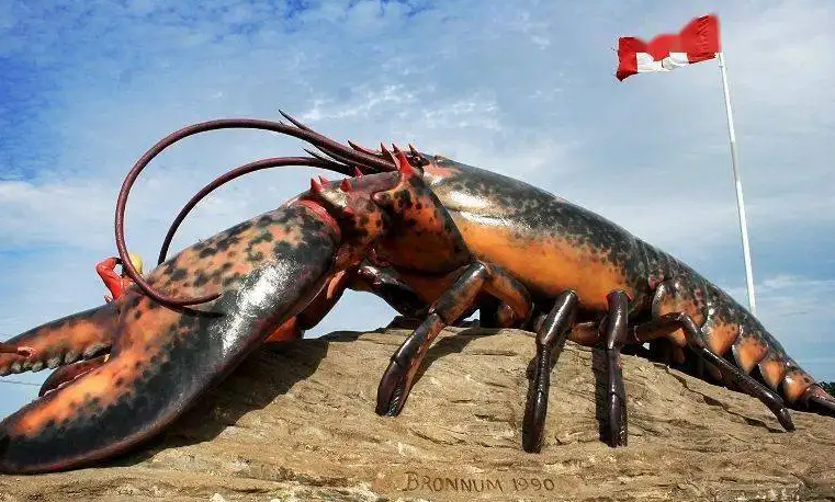 進(jìn)口外貿(mào)代理