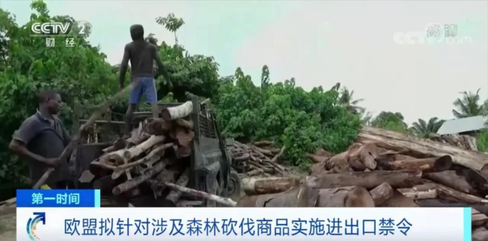 進(jìn)口外貿(mào)代理