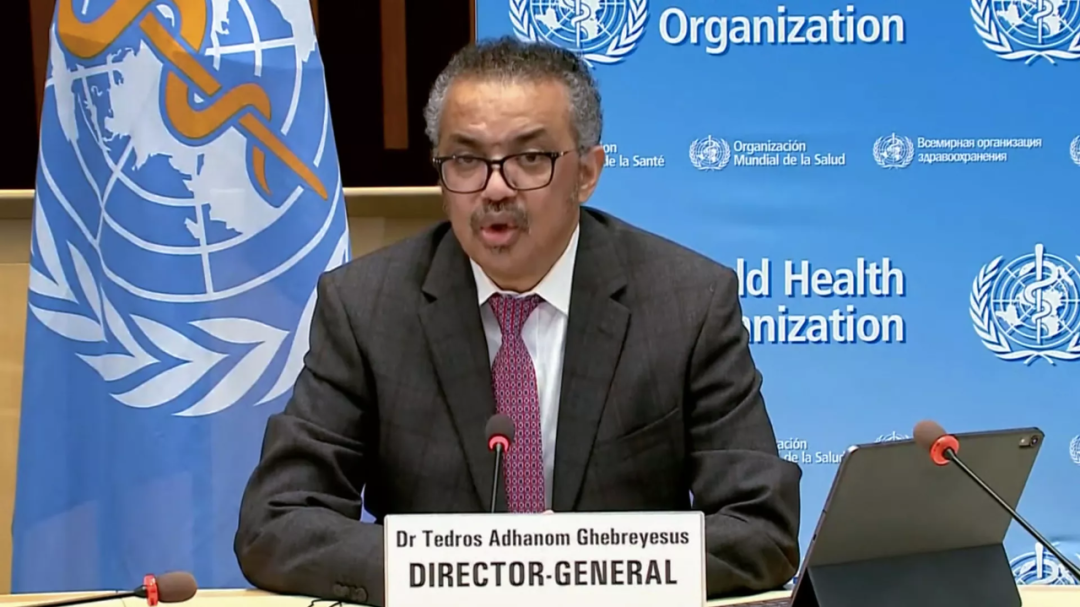 進(jìn)口外貿(mào)代理