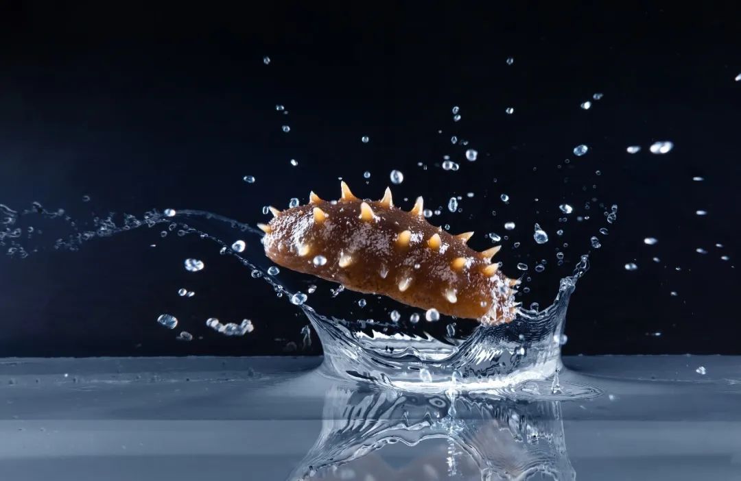 進(jìn)口外貿(mào)代理