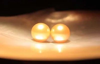 進(jìn)口外貿(mào)代理