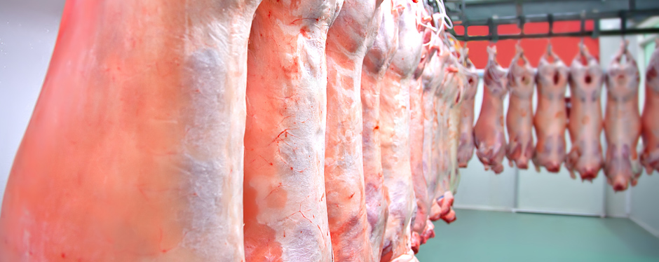 進(jìn)口外貿(mào)代理