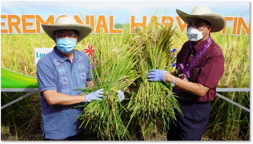 進(jìn)口外貿(mào)代理