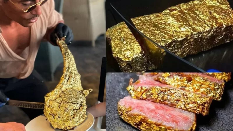 進(jìn)口外貿(mào)代理