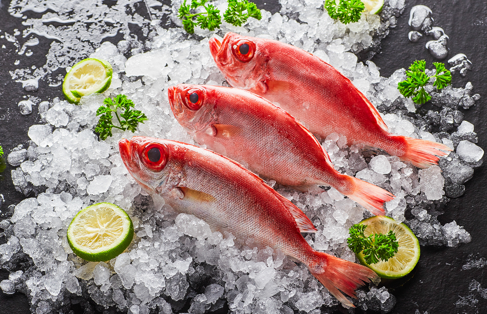 進(jìn)口外貿(mào)代理