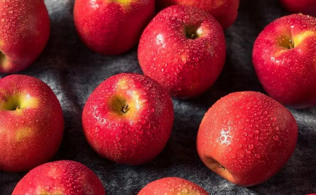 進口外貿(mào)代理