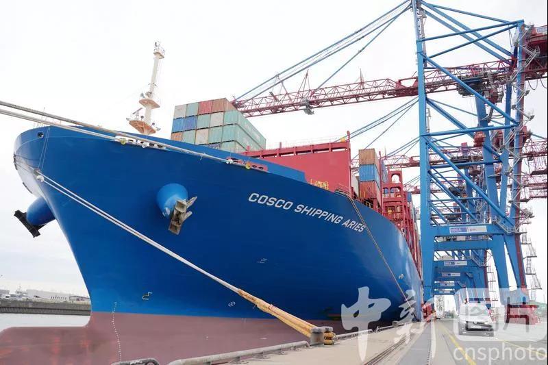 進(jìn)口外貿(mào)代理