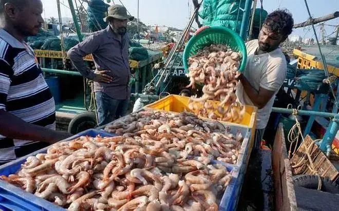 進口外貿(mào)代理