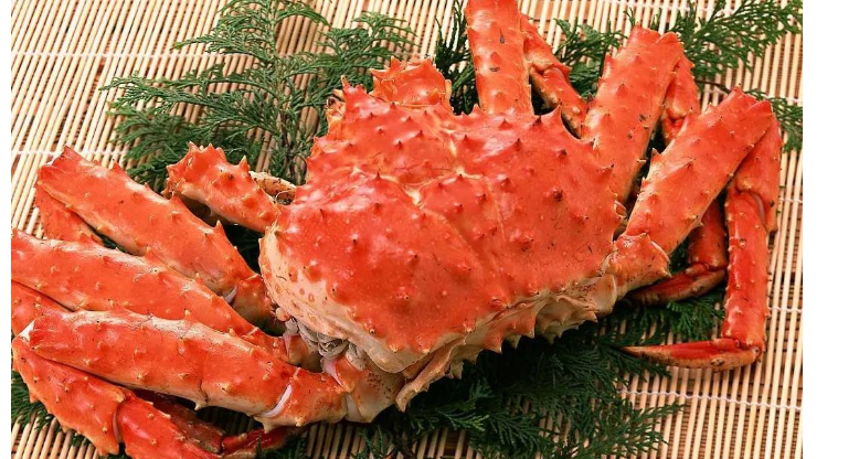 進(jìn)口外貿(mào)代理