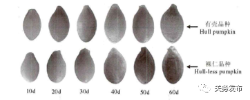 進口外貿(mào)代理