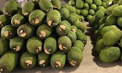 進口外貿(mào)代理