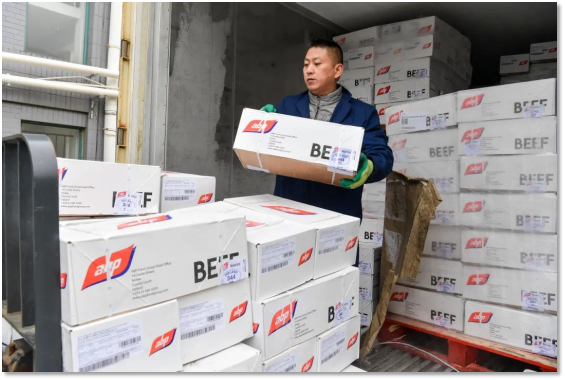 進(jìn)口外貿(mào)代理