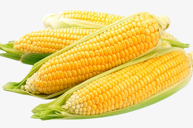 進(jìn)口外貿(mào)代理