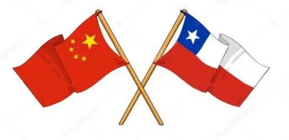 進(jìn)口外貿(mào)代理