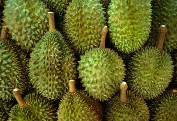 進口外貿(mào)代理