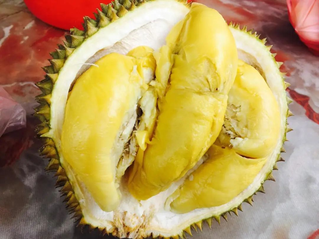 進口外貿(mào)代理