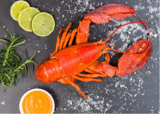 進(jìn)口外貿(mào)代理