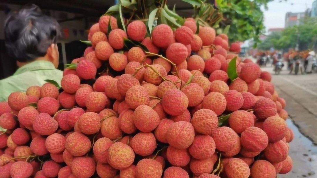 進(jìn)口外貿(mào)代理