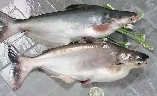 進(jìn)口外貿(mào)代理