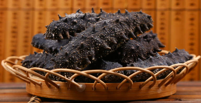 出口外貿(mào)代理