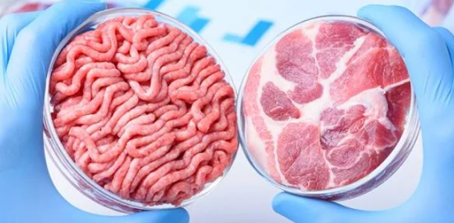 進(jìn)口外貿(mào)代理