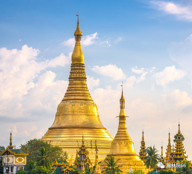 進(jìn)口外貿(mào)代理