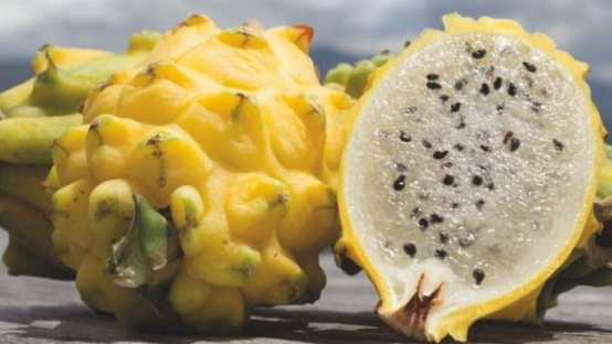 進(jìn)口外貿(mào)代理