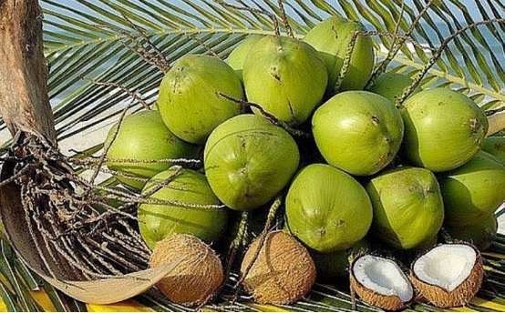 進口外貿(mào)代理