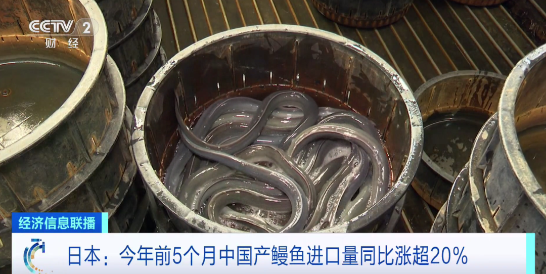 出口外貿(mào)代理