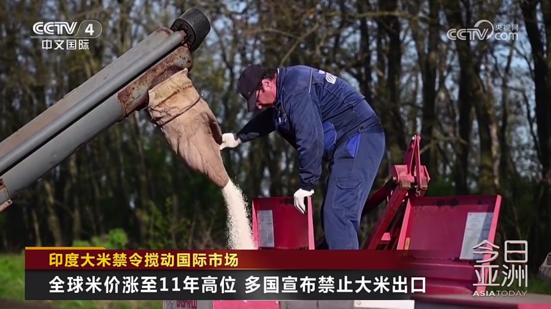 進(jìn)口外貿(mào)代理