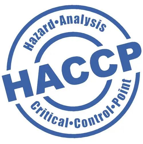 出口外貿(mào)代理