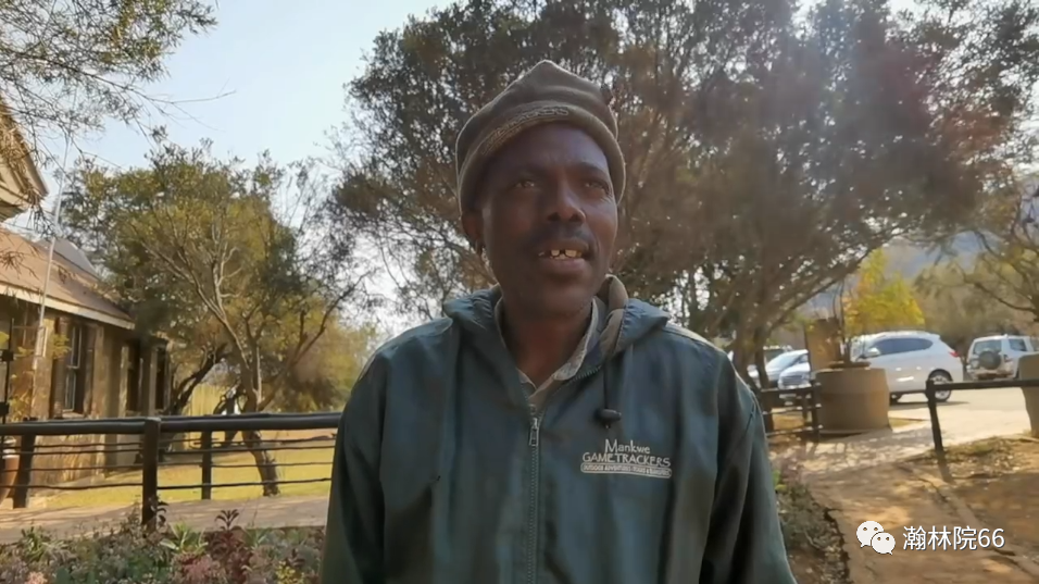 進口外貿(mào)代理