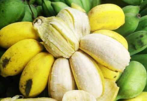 進(jìn)口外貿(mào)代理