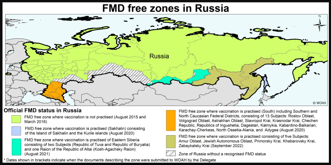 進口外貿(mào)代理