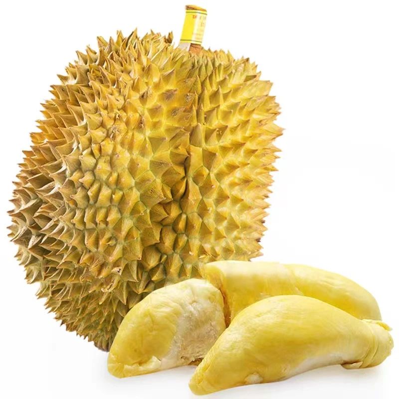 微信圖片_20240805104125 微信圖片_20240805104125