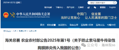 進出口外貿(mào)代理